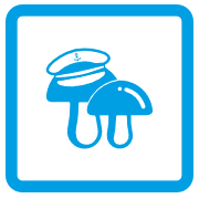 Mushroom Commander - nowe podejście do sterowania mikroklimatem w uprawie grzybów